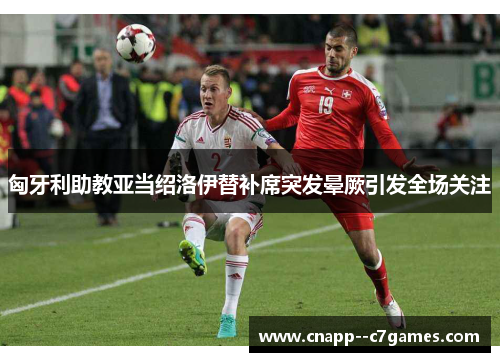 匈牙利助教亚当绍洛伊替补席突发晕厥引发全场关注 匈牙利助教亚当绍洛伊替补席突发晕厥引发全场关注